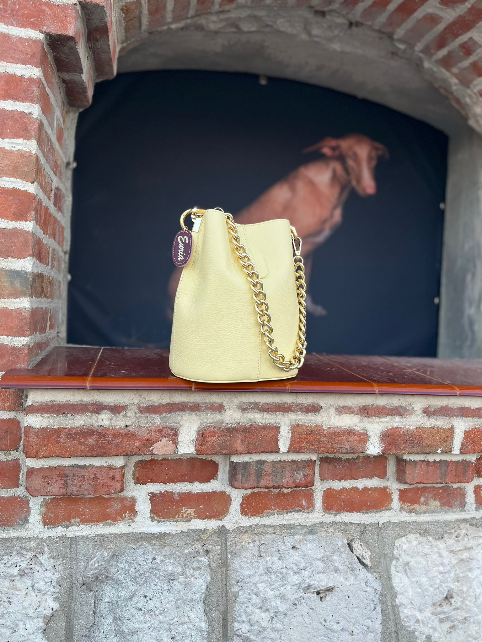 Bolso CLAVEL PV